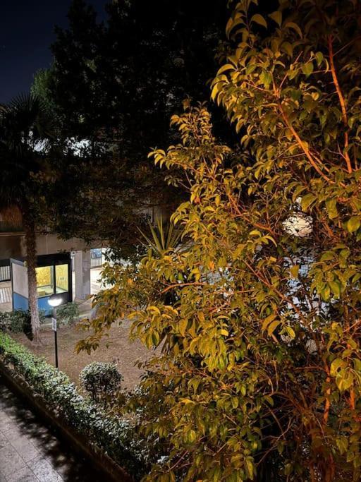 La Terrazza Romana Centro Di Apartamento Roma